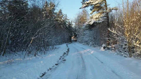 Walking POV on hiking path through winter forest Stock Footage 169703074