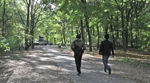Walking in a public park Stock Footage 31822423
