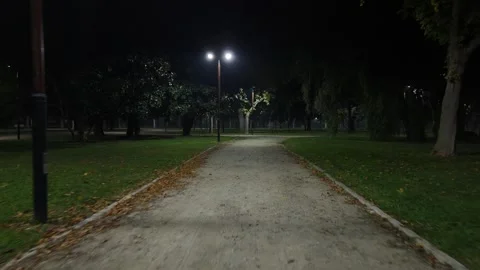 Walking at in the public park at night. Stock Footage 291403547