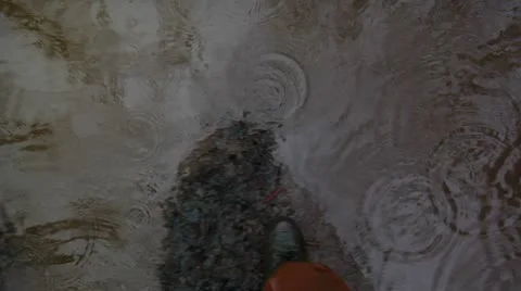 Walking in a Puddle Video stock 8947337