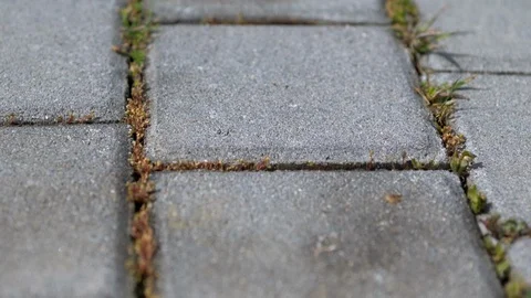 Walking quickly over a paved walkway Stock Footage 108099573