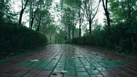 Walking on quiet paths Stock-Footage 234054230