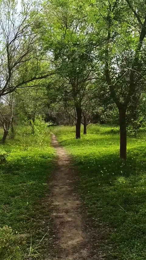 Walking quietly along a path Stock Footage 281642371