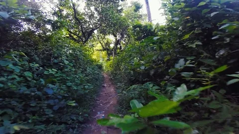 Walking on Rabbit Island, Kaoh Tonsay in Cambodia Stock Footage 100786456