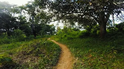 Walking on Rabbit Island, Kaoh Tonsay in Cambodia Stock Footage 100786838