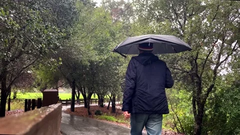 Walking in Rain During Rain Shower in California Video stock 229915523