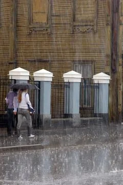 Walking in the Rain in the Summer Stock Photos
