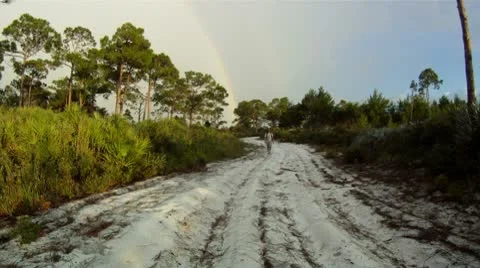 Walking from Rainbow Stock Footage 8913594