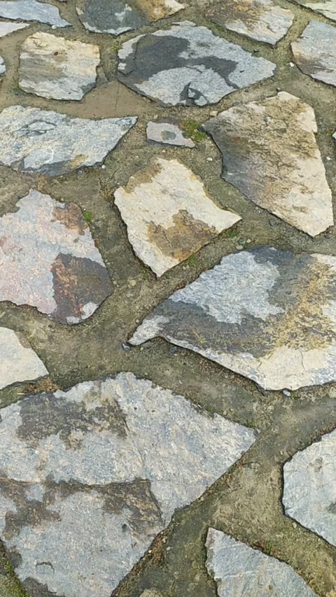 Walking on the Rainy and Grassy Stone Road Video Stock Footage 200765886