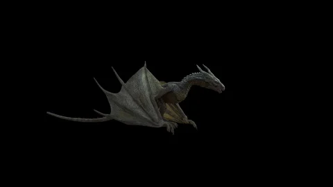 Walking Realistic Dragon. Stock Footage 125710756