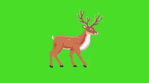 Walking reindeer loop on green screen, 2d animation for Christmas Holidays theme Stock Footage 319037617