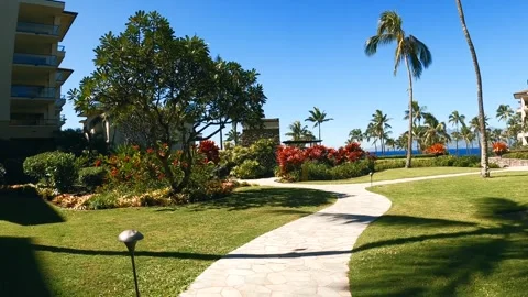 Walking in the Resort Stock Footage 243953583