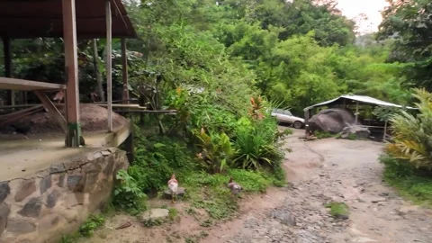 Walking Return Path from Waterfall Through Rural Trail Stock Footage 342569751