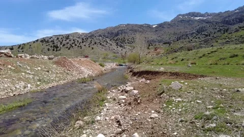 Walking by the river Stockbeeldmateriaal 238032503