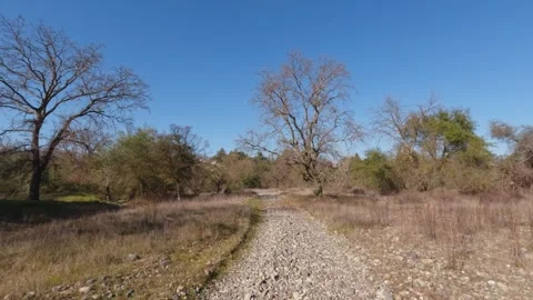 Walking on river rock trail towards an oak tree in winter Stock Footage 299641827