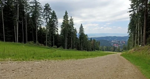 Walking on road in the forest Stock Footage 103141396