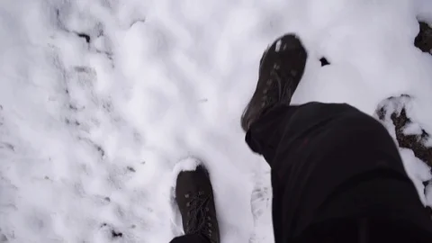 Walking on a road full of snow during winter. POV Stock Footage Stock Footage 84076469