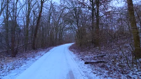 Walking Road in Winter Forest Stock Footage 328126207