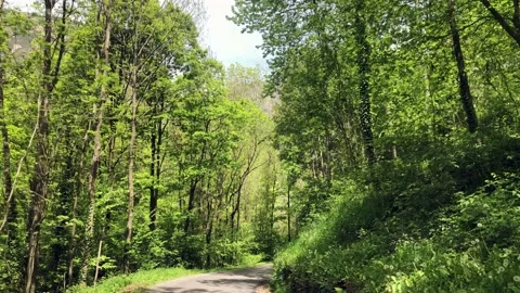 Walking on a road without sound Stock Footage 155734447