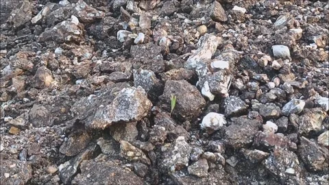 Walking on the rock Stock Footage 159257137