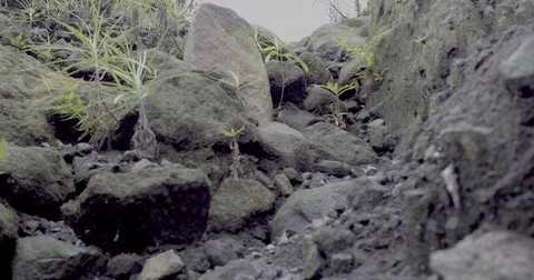 Walking up on rocks Stock Footage 71819711