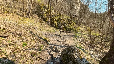 Walking Rocky Forest Path With Sharp Bend Uphill – Sunny Autumn POV Stock Footage 330958350