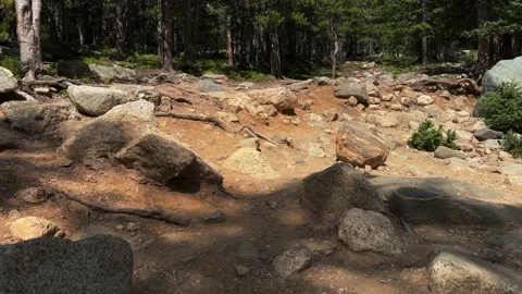 Walking up rocky hiking Stock-Footage 204768690