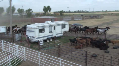 Walking to Rodeo Grounds Stock-Footage 36275467