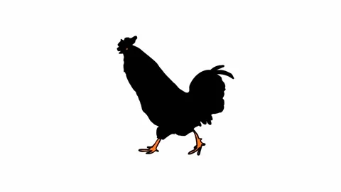 Walking rooster (seamless loop animation) Stock Footage 142928145