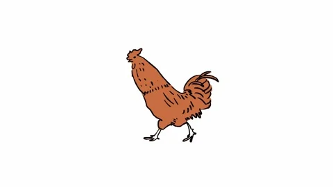 Walking rooster (seamless loop animation) Stock Footage 142928198