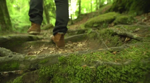 Walking on roots in the forest in slow motion (200fps) Stock-Footage 23485673