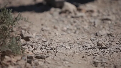 Walking on rubble nature, rock, path, road, cobble, outdoors, park, walk Stock-Footage 88995075