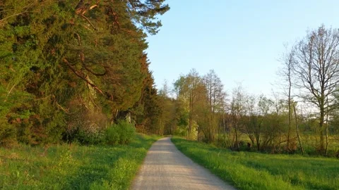 Walking on a Rural Path in Allgu Surrounded by Fresh Green Grass, Trees with Stock Footage 309042378
