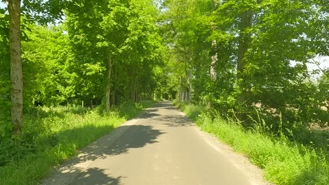 Walking on an a rural track with trees on the side in daylight. Stock Footage 244584856