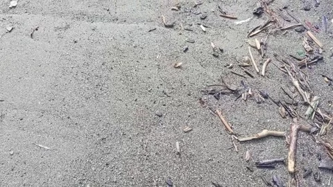 Walking on the sand at the beach Stock Footage 325398366