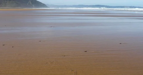 Walking on sand of the beach seashore Stock Footage 101473122