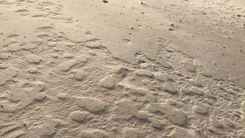 Walking on a sand at the beach with small wind spreading the golden dust Video stock 143811449