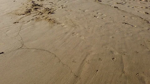 Walking on the sand 스톡 동영상 104379261