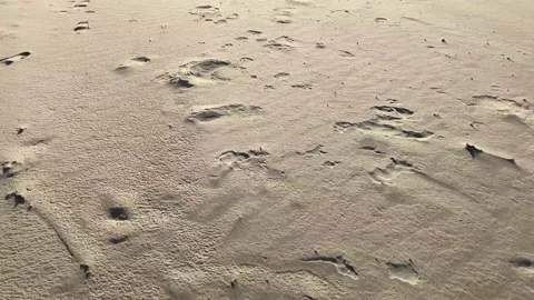 Walking on a sand on sunset Video stock 143811405