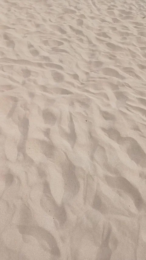 Walking on sandy beach 4k Stock Footage 282586207