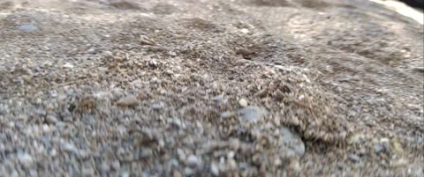 Walking on a Sandy Beach, Anamorphic 스톡 동영상 143152111
