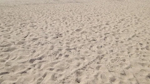 Walking on sandy beach looking down at sand. Slow motion first person pov Stock Footage 132017022