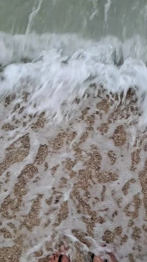 Walking on Sandy Beach Personal Perspective Vídeo Stock 331414962