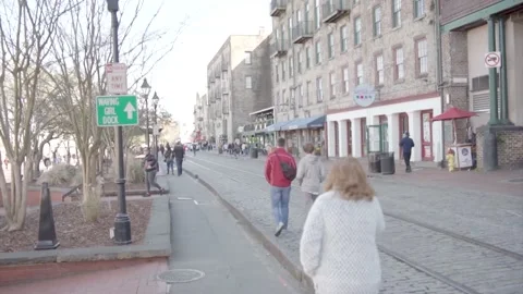 Walking savannah Stock Footage 206070825
