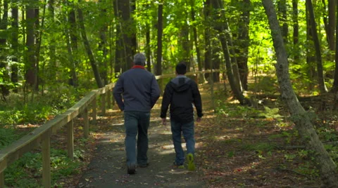 Walking on Scenic Nature Path Vidéo 42391020