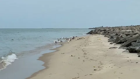Walking on sea beach Vídeos de archivo 164876597
