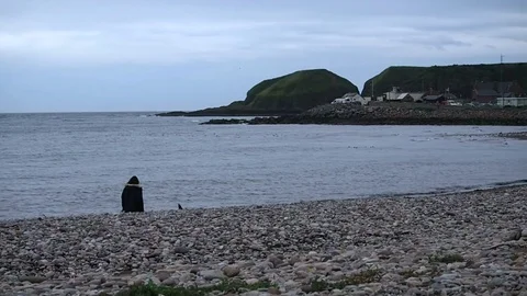 Walking by the sea Stock Footage 82273128