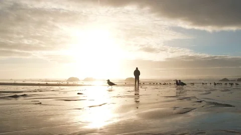 Walking With Seagulls At The Coast Stock Footage 72195462