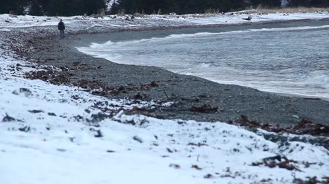 Walking on seaside 動画素材 51517726