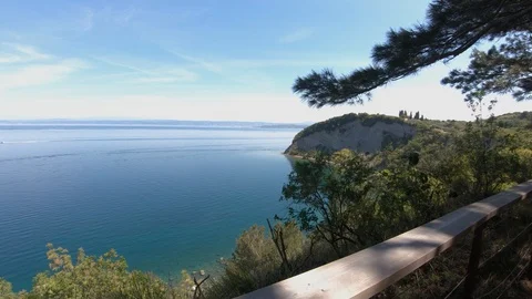 Walking on seaside forest trail under pine trees on warm summer day Stock Footage 130071778